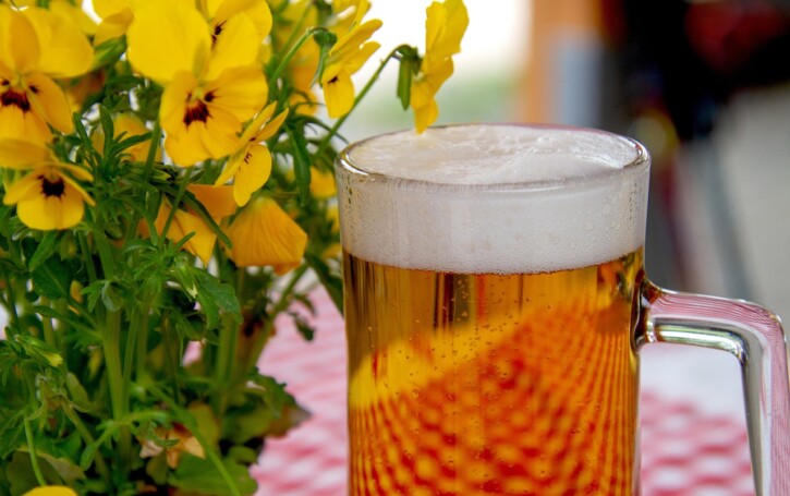 Bier Bier
